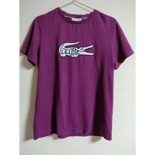 LACOSTE - ラコステ　ビッグロゴ　Tシャツ