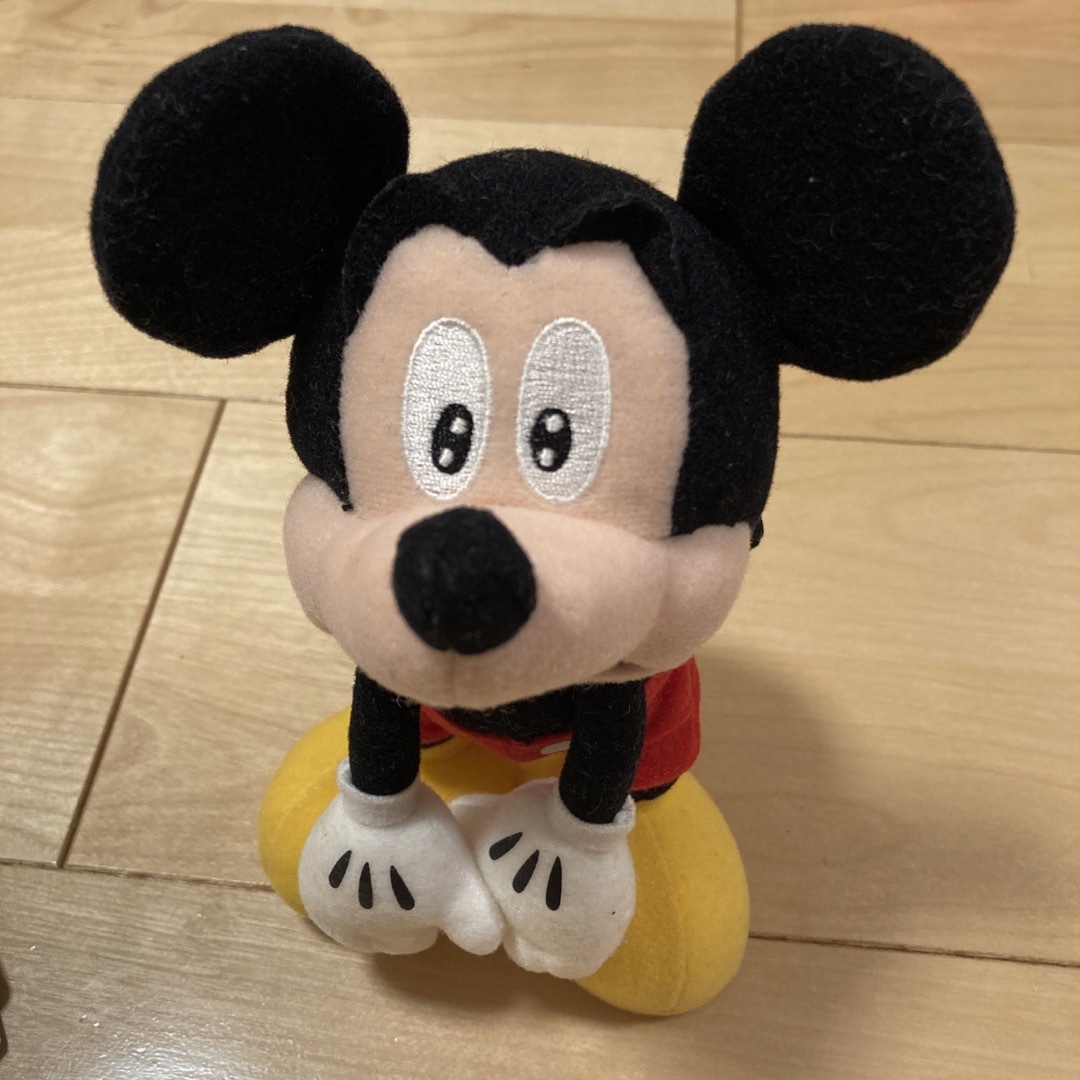 Disney(ディズニー)の東京ディズニーシー　タワーオブテラー　ミッキー　ぬいぐるみ　シリキウトゥンドゥ エンタメ/ホビーのおもちゃ/ぬいぐるみ(ぬいぐるみ)の商品写真