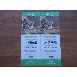 即発送　伊豆シャボテン動物公園　平日招待券２枚　伊豆シャボテンリゾート(動物園)