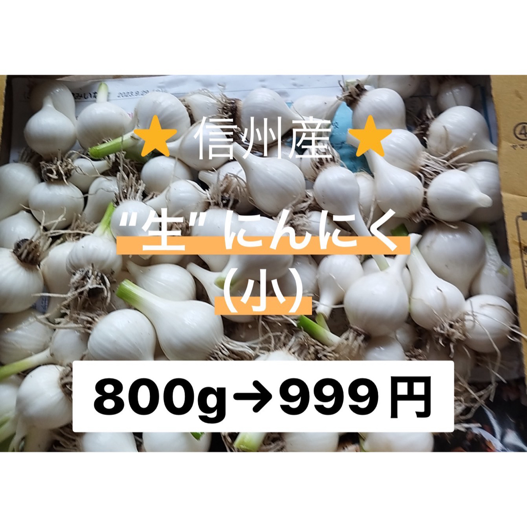 "生"にんにく　宅急便コンパクトいっぱい　800g〜900g　長野県産　信州産 食品/飲料/酒の食品(野菜)の商品写真