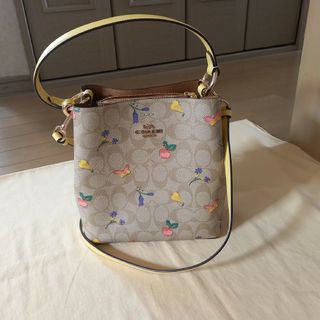 COACH - 正規品　 コーチ　タウンバケット　2way バッグ　ドリーミーベジ