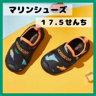 17.5㎝ウォーターシューズマリンシューズキッズこどもおとこのこおんなのこ恐竜柄(アウトドアシューズ)