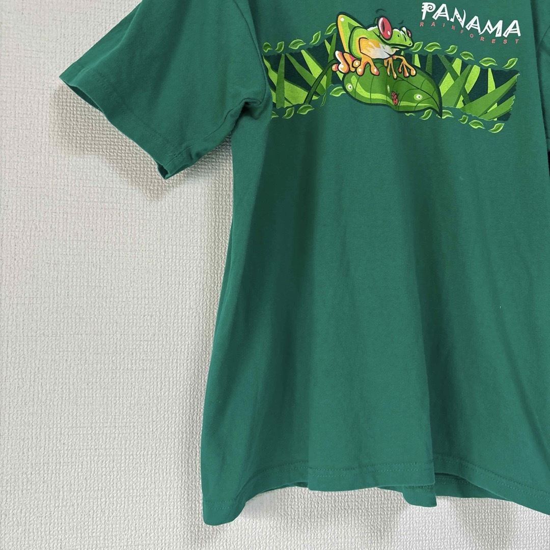 80s 90s ビンテージ　アメリカ古着　カエル　アニマル　動物　tee レディースのトップス(Tシャツ(半袖/袖なし))の商品写真