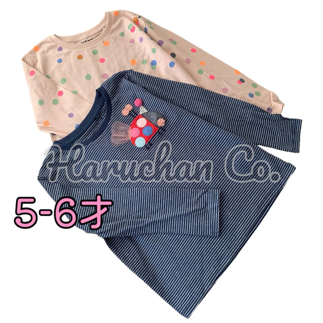 NEXT(ネクスト)の●未使用●5-6才　てんとう虫　ドット柄　ロンT セット キッズ/ベビー/マタニティのキッズ服女の子用(90cm~)(Tシャツ/カットソー)の商品写真