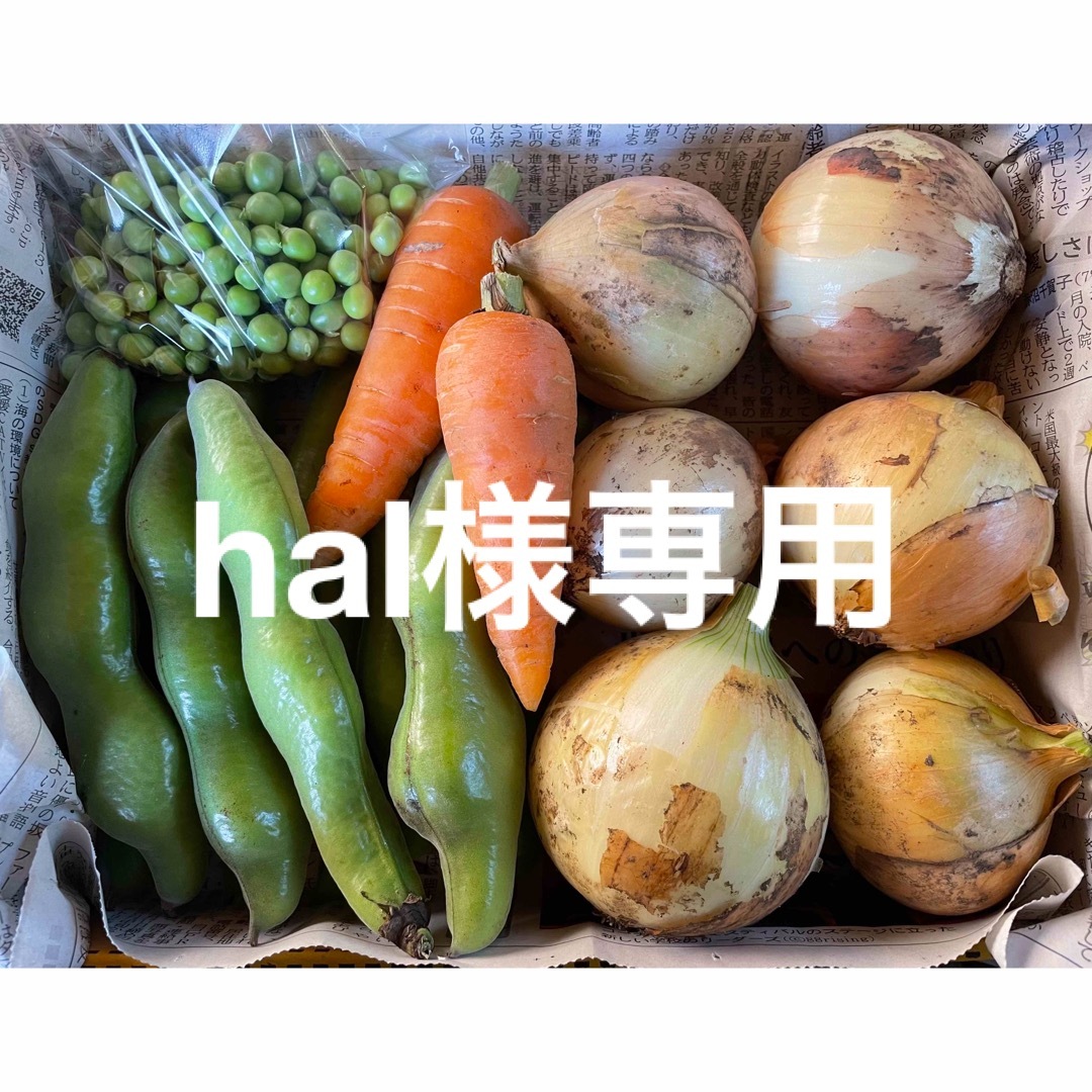 hal様専用 食品/飲料/酒の食品(野菜)の商品写真