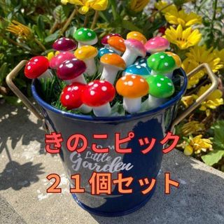 きのこピック 21個セット 観葉植物 肉植物 ガーデニング ピック 観賞用68(その他)