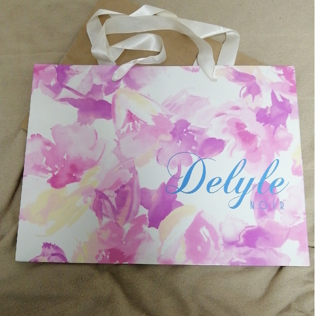 Delyle NOIR(デイライルノアール)のDelyle NOIR ショップ袋セット レディースのアクセサリー(その他)の商品写真