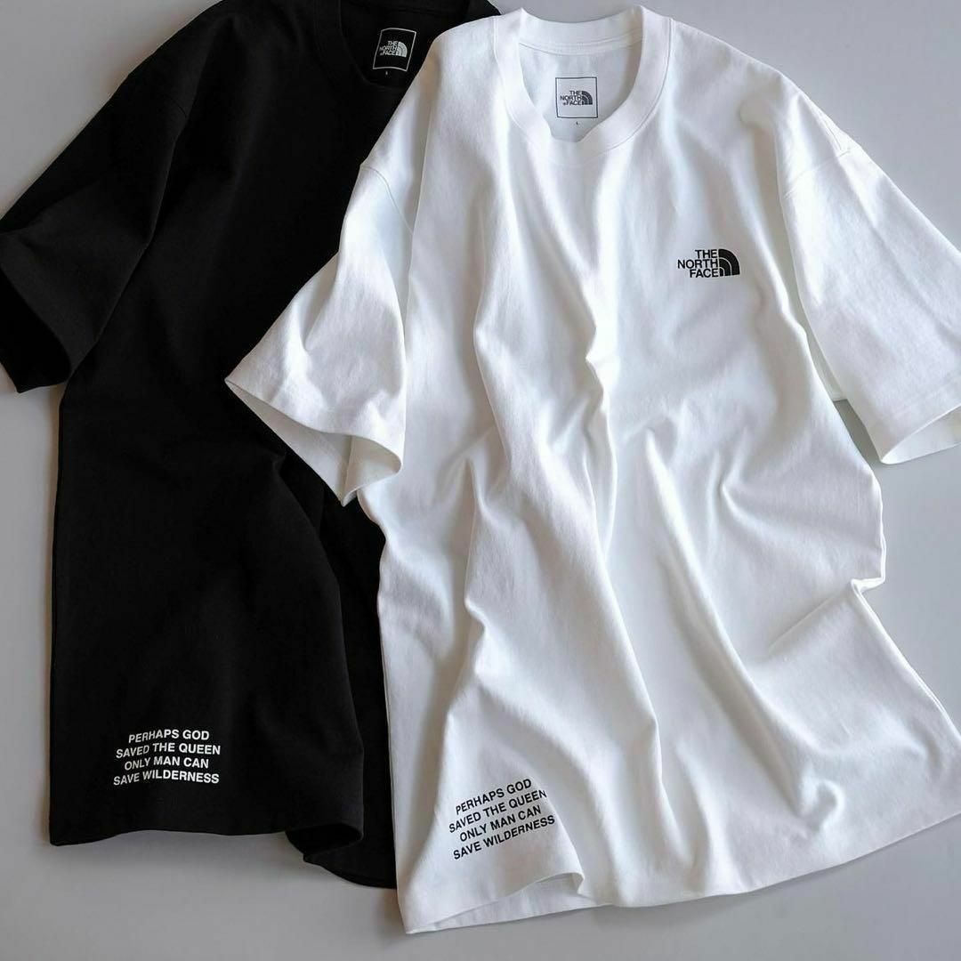 THE NORTH FACE(ザノースフェイス)のノースフェイスオルター 限定 Tシャツ Lサイズ ALTERNATIVE メンズのトップス(Tシャツ/カットソー(半袖/袖なし))の商品写真