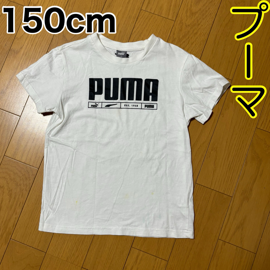 PUMA(プーマ)の150cm/プーマ キッズ/ベビー/マタニティのキッズ服男の子用(90cm~)(Tシャツ/カットソー)の商品写真