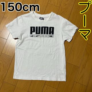 プーマ(PUMA)の150cm/プーマ(Tシャツ/カットソー)