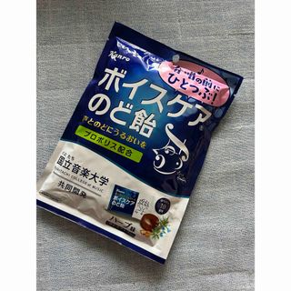 カンロ ボイスケアのど飴(70g)(菓子/デザート)