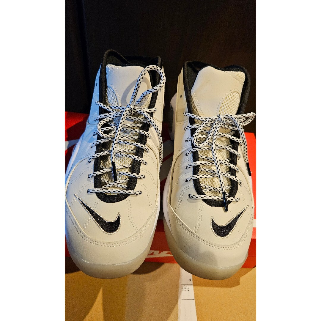 NIKE(ナイキ)のナイキ　エア　ズーム　フライト９５　サイズ２７ メンズの靴/シューズ(スニーカー)の商品写真