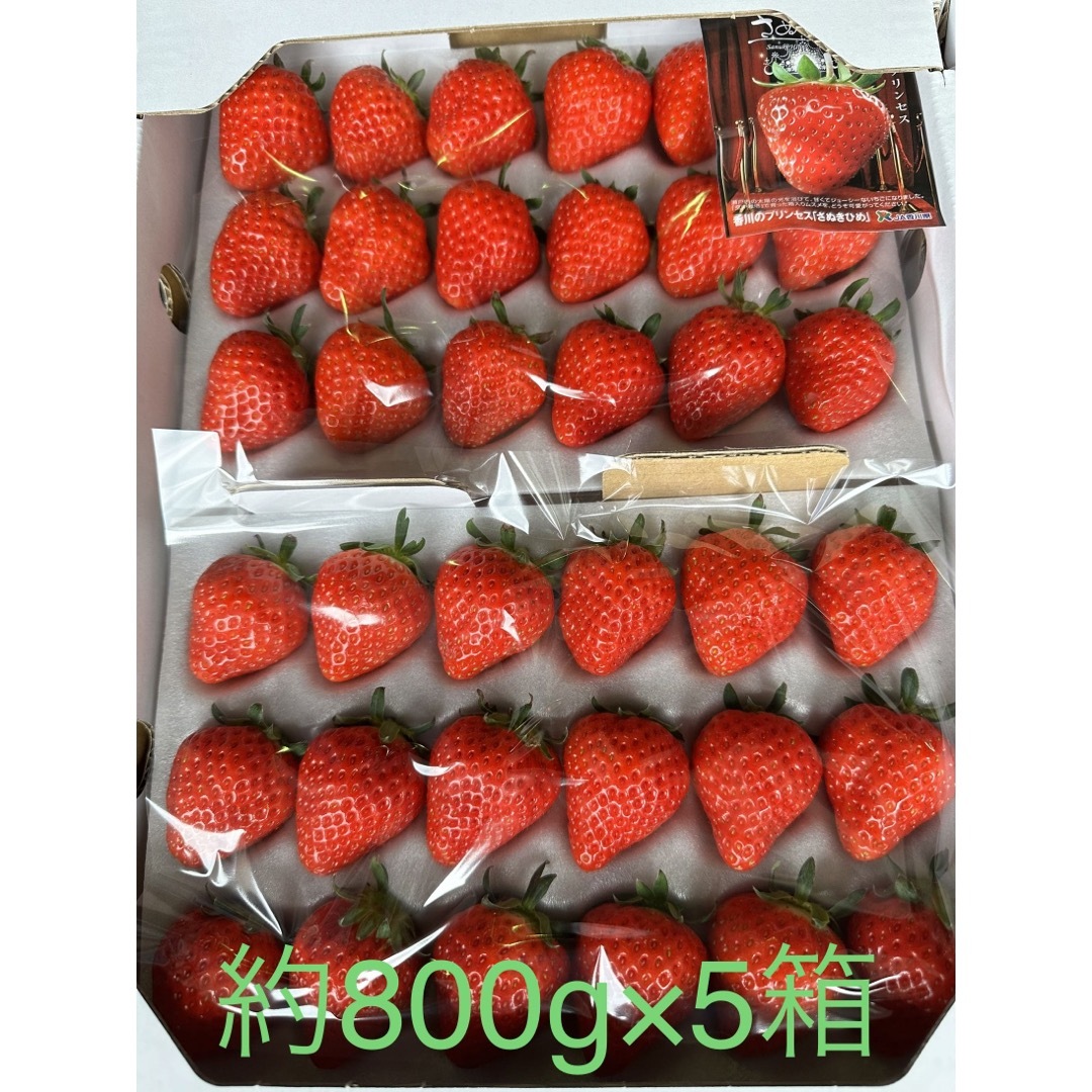 さぬきひめ 約4kg (800g×5箱) いちご ジャム用 食品/飲料/酒の食品(フルーツ)の商品写真