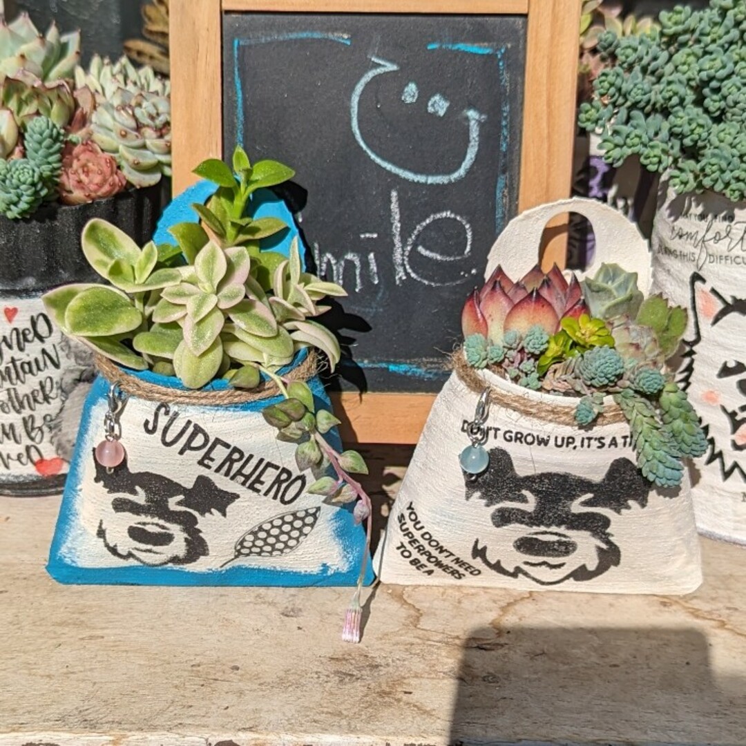 多肉植物❤リメ缶❤吊るし❤壁掛け❤お試しに❤デコパージュ❤ステンシル❤2個セット ハンドメイドのフラワー/ガーデン(その他)の商品写真