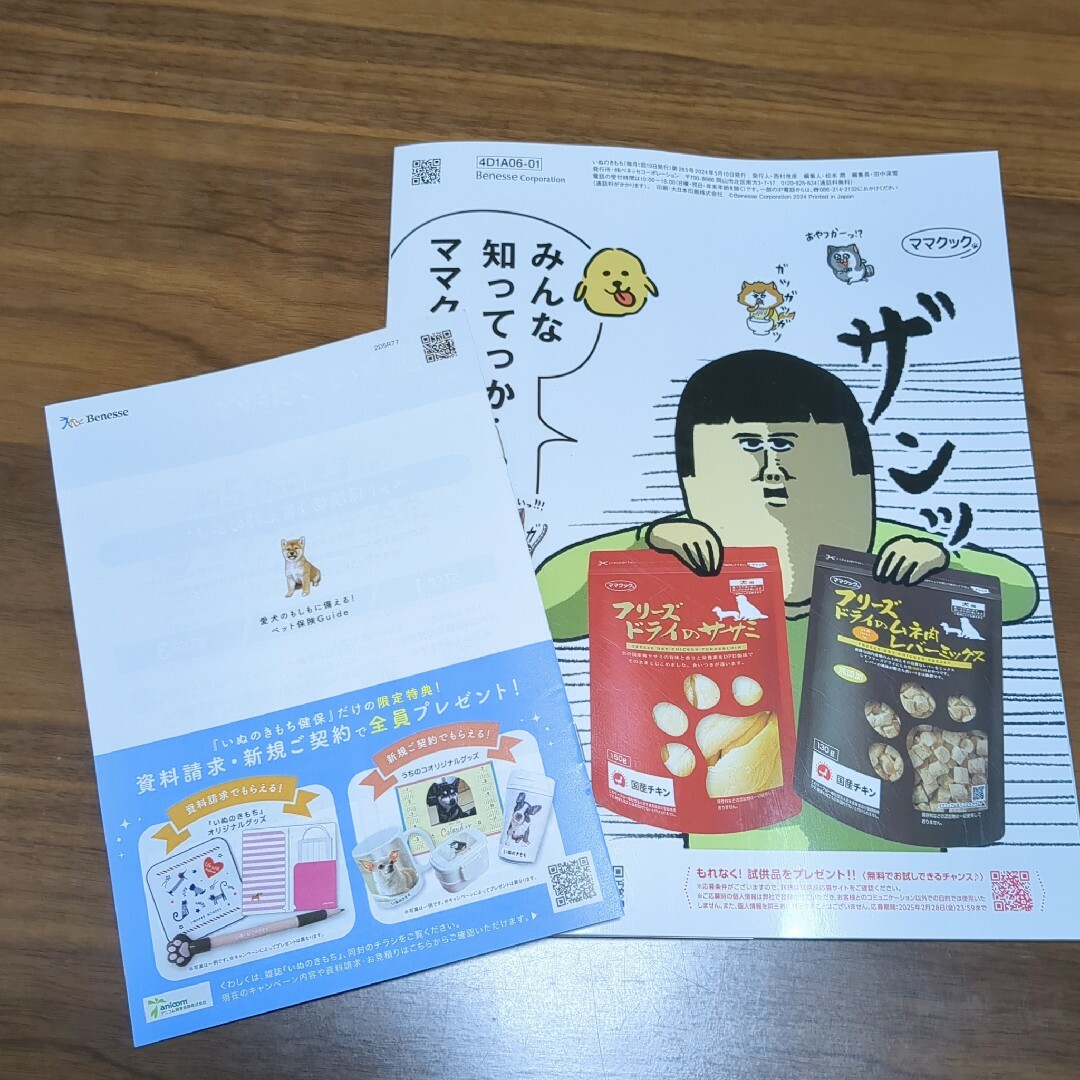 初めて飼い主さんさんの　いぬのきもち　2024年6月号 エンタメ/ホビーの雑誌(その他)の商品写真