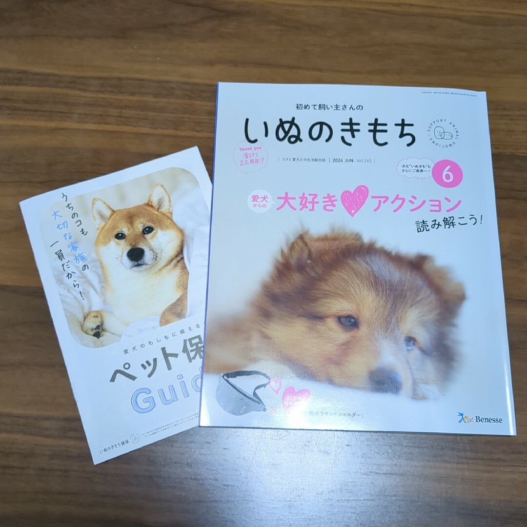 初めて飼い主さんさんの　いぬのきもち　2024年6月号 エンタメ/ホビーの雑誌(その他)の商品写真