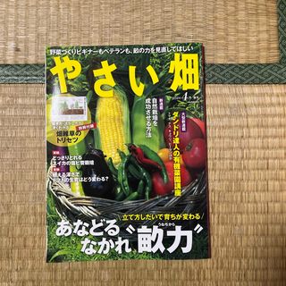 やさい畑 2024年 04月号 [雑誌]