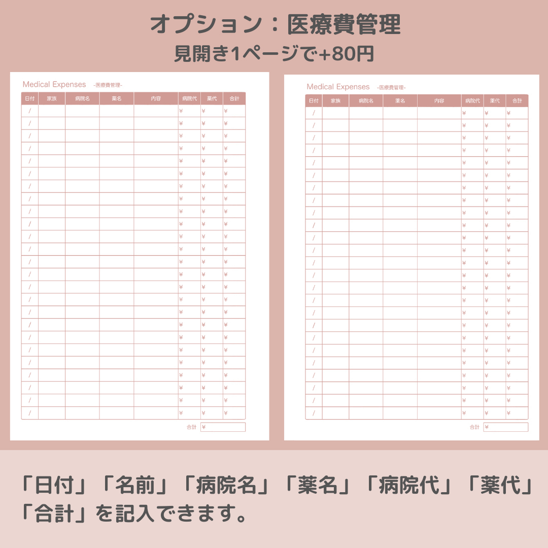 簡単家計簿 システム手帳リフィル ルーズリーフ A5サイズ ハンドメイドの文具/ステーショナリー(その他)の商品写真