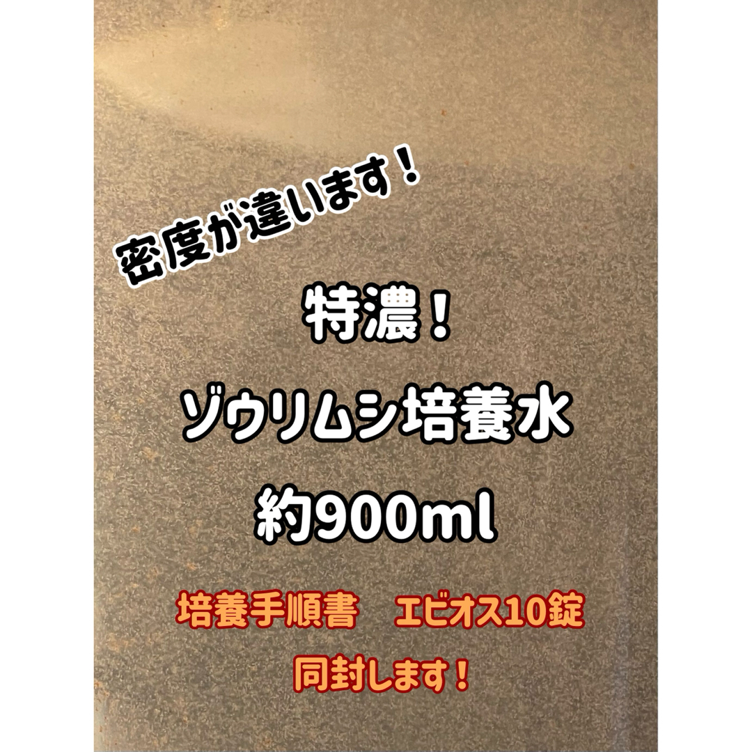 特濃！ゾウリムシ培養水900ml！培養手順書とエビオス10錠セット！ その他のペット用品(アクアリウム)の商品写真