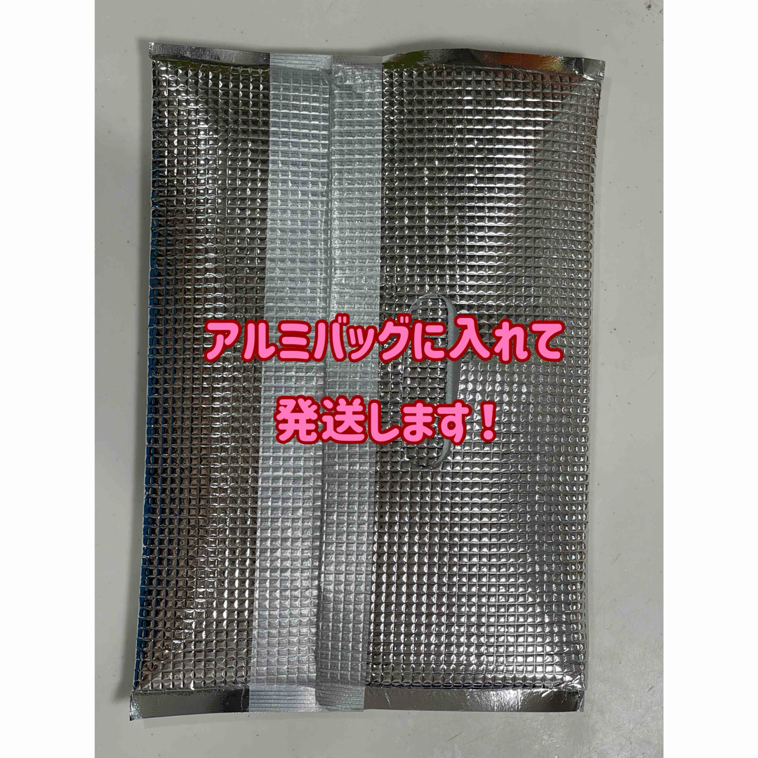 特濃！ゾウリムシ培養水900ml！培養手順書とエビオス10錠セット！ その他のペット用品(アクアリウム)の商品写真