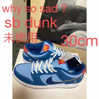 ナイキ(NIKE)の新品未使用why so sad ?sb dunk 30cm(スニーカー)