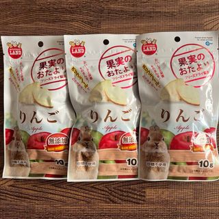 マルカン(MARUKAN Group)のマルカン　果実のおたより　りんご　１０ｇ　無添加　小動物　おやつ　うさぎ　3P(小動物)