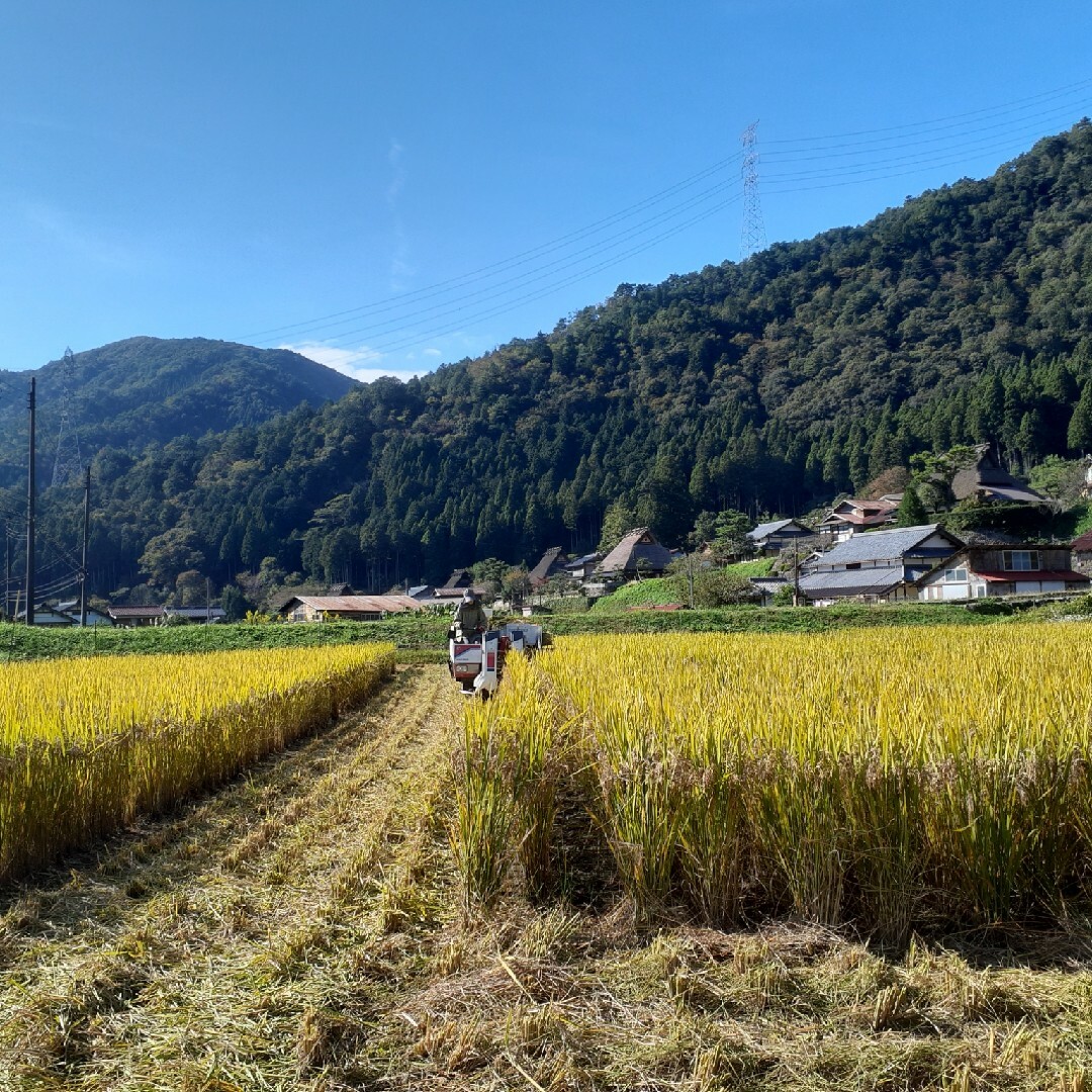 農薬不使用　【米粉 2.7kg = 900g✕3個】京都・美山産 食品/飲料/酒の食品(米/穀物)の商品写真