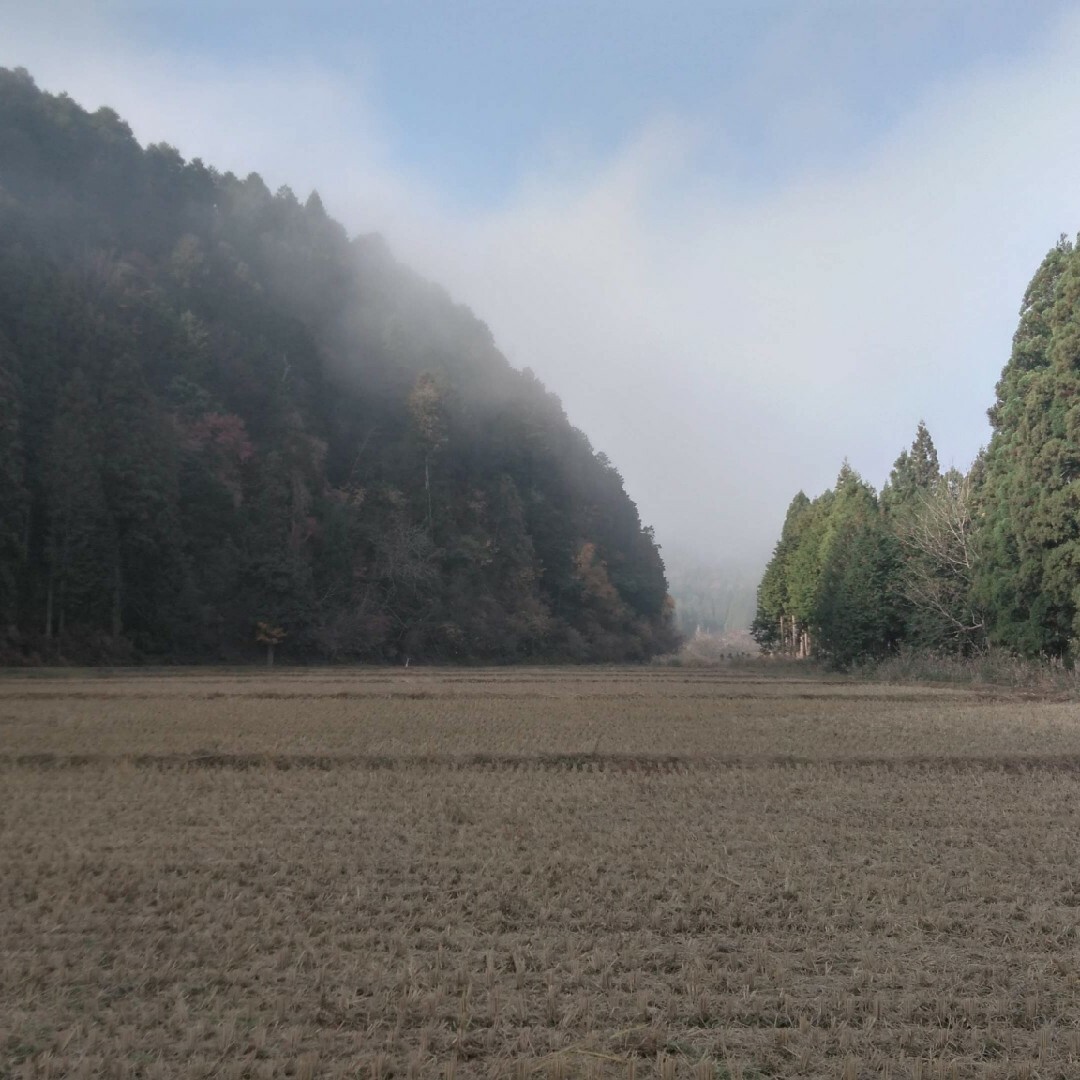 農薬不使用　【米粉 2.7kg = 900g✕3個】京都・美山産 食品/飲料/酒の食品(米/穀物)の商品写真