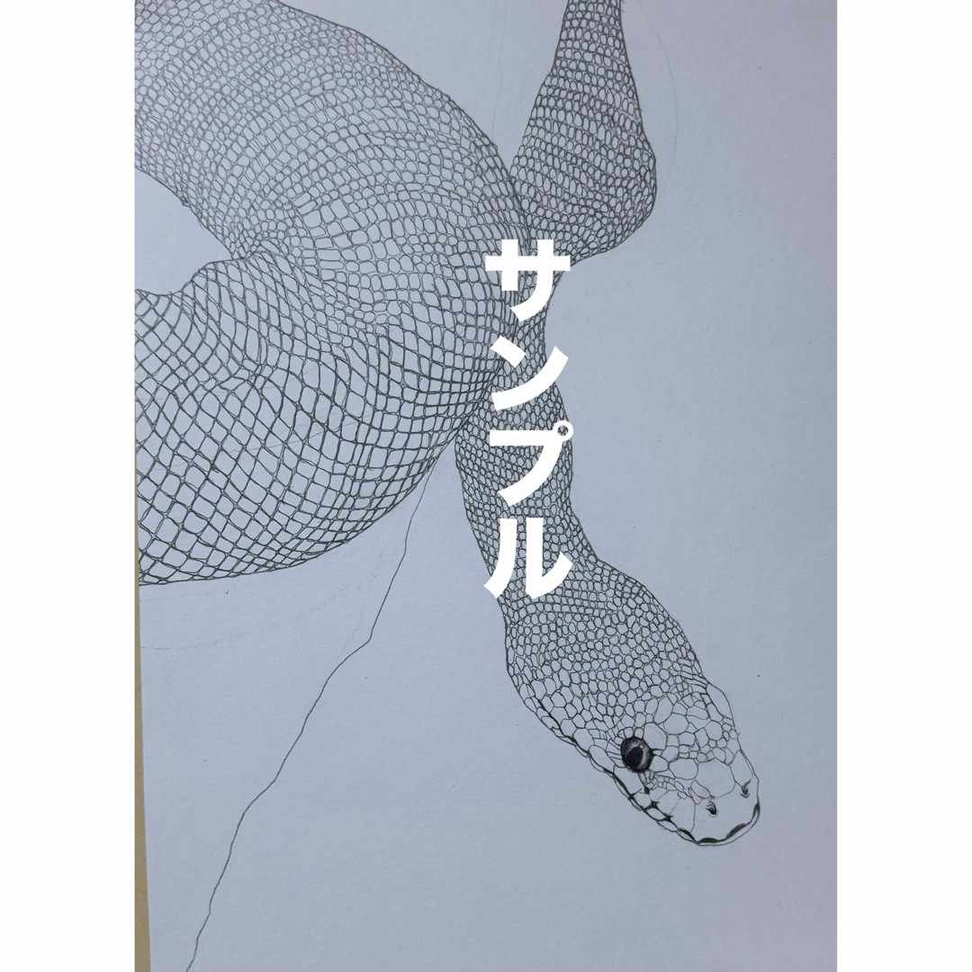 ペット似顔絵 似せます！ 性格表現します！爬虫類も その他のペット用品(犬)の商品写真