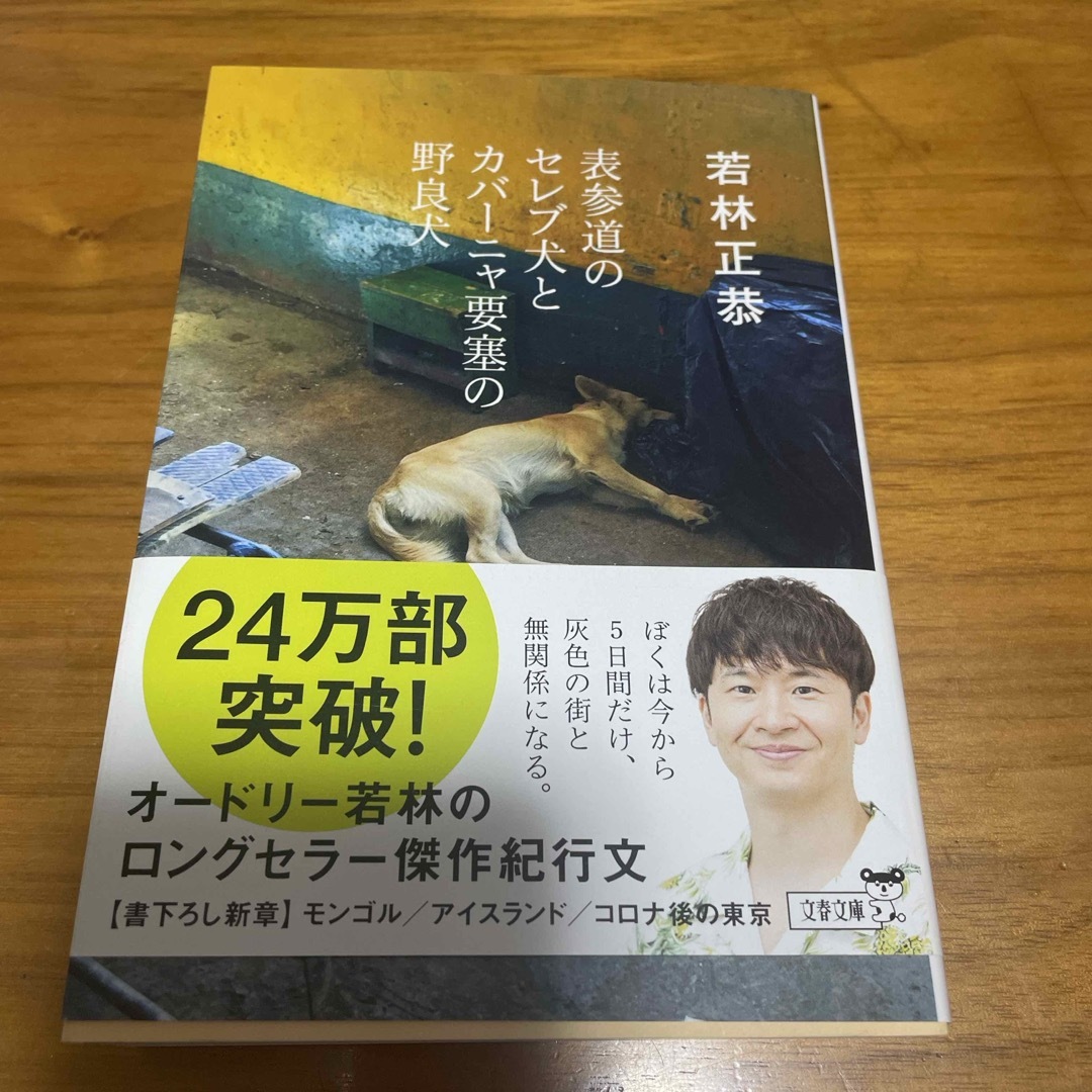 表参道のセレブ犬とカバーニャ要塞の野良犬 エンタメ/ホビーの本(その他)の商品写真