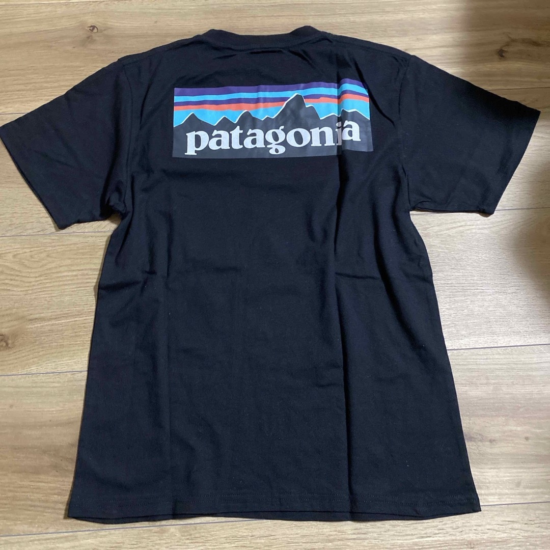 patagonia(パタゴニア)のトップス レディースのトップス(カットソー(半袖/袖なし))の商品写真