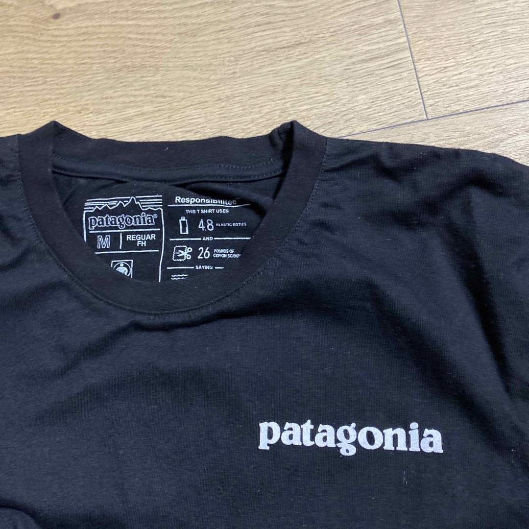 patagonia(パタゴニア)のトップス レディースのトップス(カットソー(半袖/袖なし))の商品写真