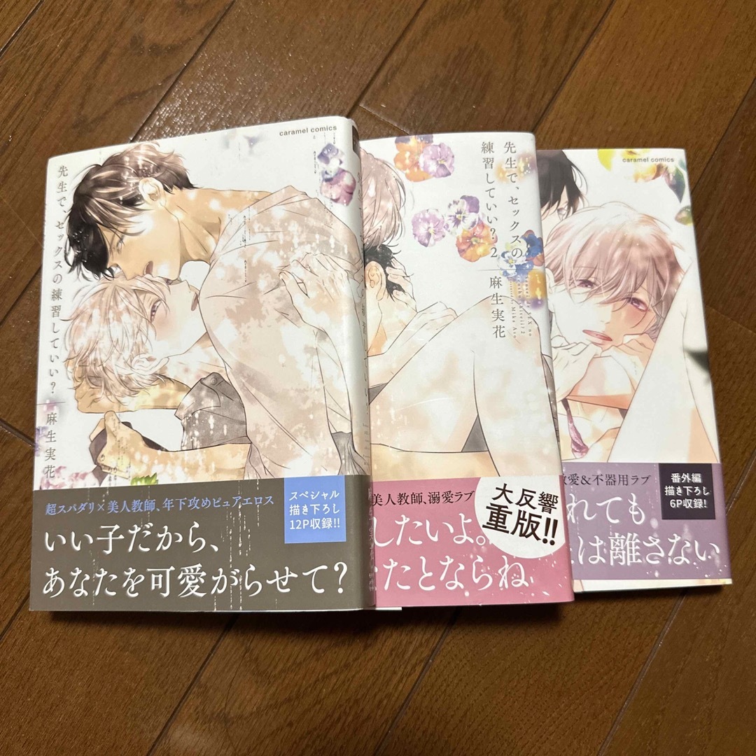 先生で、セックスの練習していい？　3冊セット エンタメ/ホビーの漫画(ボーイズラブ(BL))の商品写真