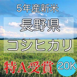 【令和5年産】長野県コシヒカリ20キロ白米