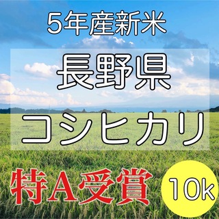 【令和5年産】長野県コシヒカリ10キロ白米(米/穀物)