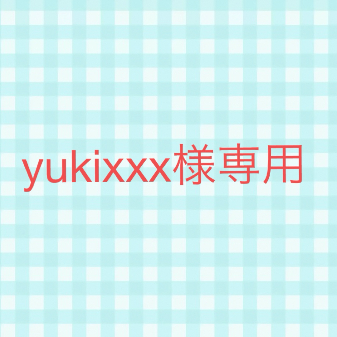 yukixxx様専用 ハンドメイドのおもちゃ(ミニチュア)の商品写真