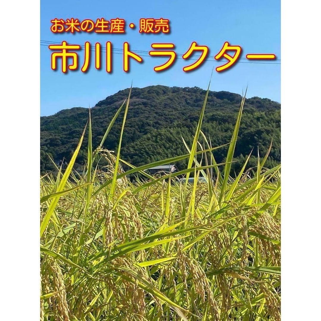 【令和5年 新米 今なら200g増量中！】あいちのかおり (白米5kg) 食品/飲料/酒の食品(米/穀物)の商品写真