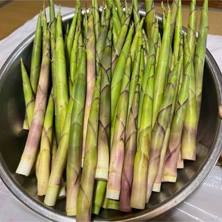 秋田県産　タケノコ(野菜)