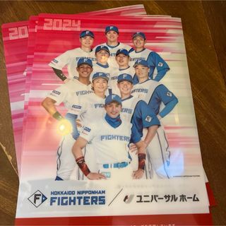 北海道日本ハムファイターズ　クリアファイルユニバーサルホーム(野球)