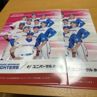 ファイターズ　ユニバーサルホーム　エスコン　クリアファイル　２枚セット(記念品/関連グッズ)