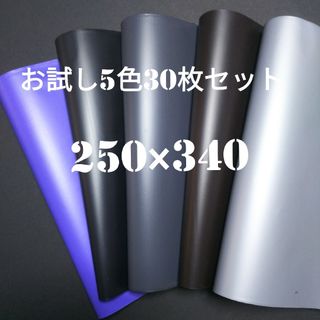 【新商品】 宅配ビニール袋 お試し5色30枚セット 厚手85ミクロン(ラッピング/包装)