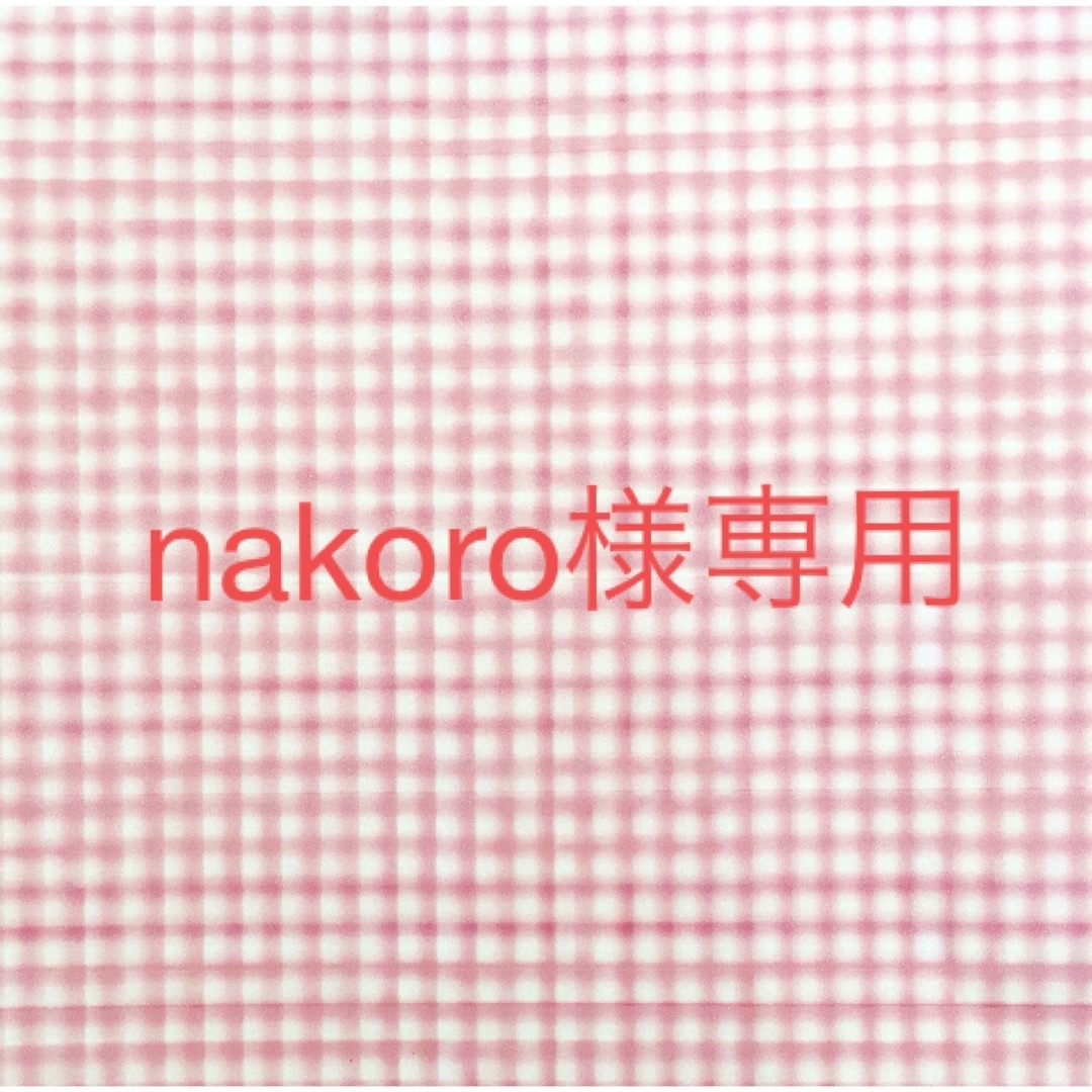 nakoro様専用^_^ ハンドメイドのおもちゃ(ミニチュア)の商品写真