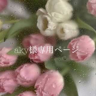 aky様専用ページ　2点(ショーツ)