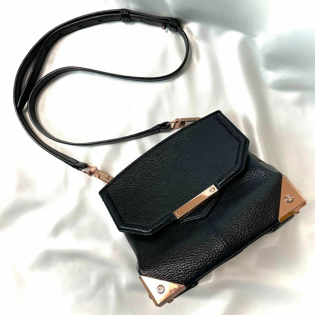 Alexander Wang(アレキサンダーワン)の美品◇アレキサンダーワン　シボ革 ショルダーバッグ　ピンクゴールド金具 レディースのバッグ(ショルダーバッグ)の商品写真