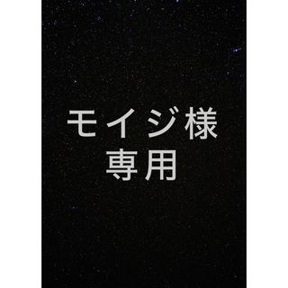 モイジ様専用カッティングステッカー(車外アクセサリ)