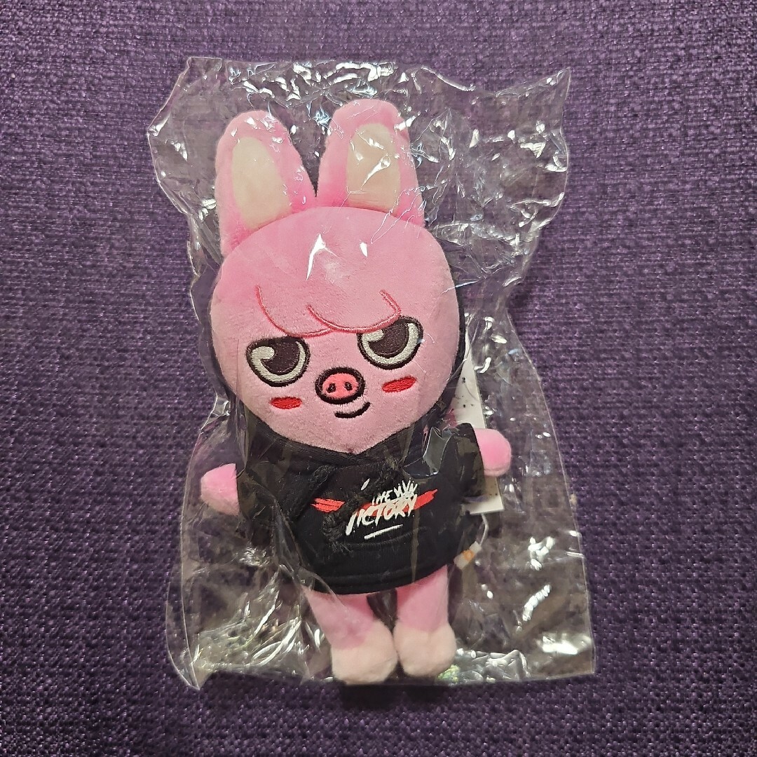 Stray Kids(ストレイキッズ)のskzoo mini plush DWAEKKI チャンビン スキズ エンタメ/ホビーのおもちゃ/ぬいぐるみ(キャラクターグッズ)の商品写真