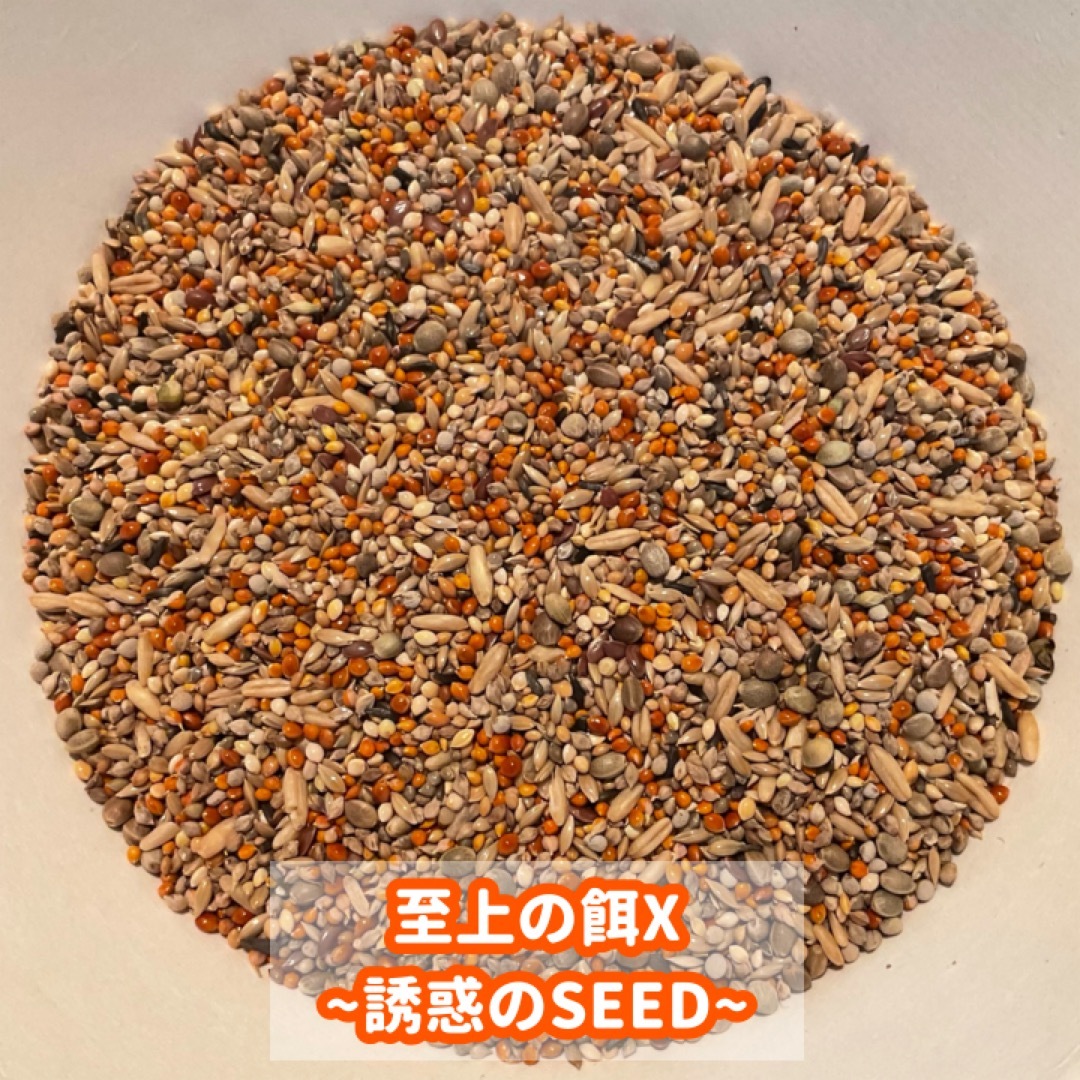 【3番人気商品】至上の餌X～誘惑のSEED～ 1500ｇ（鳥の餌） その他のペット用品(鳥)の商品写真