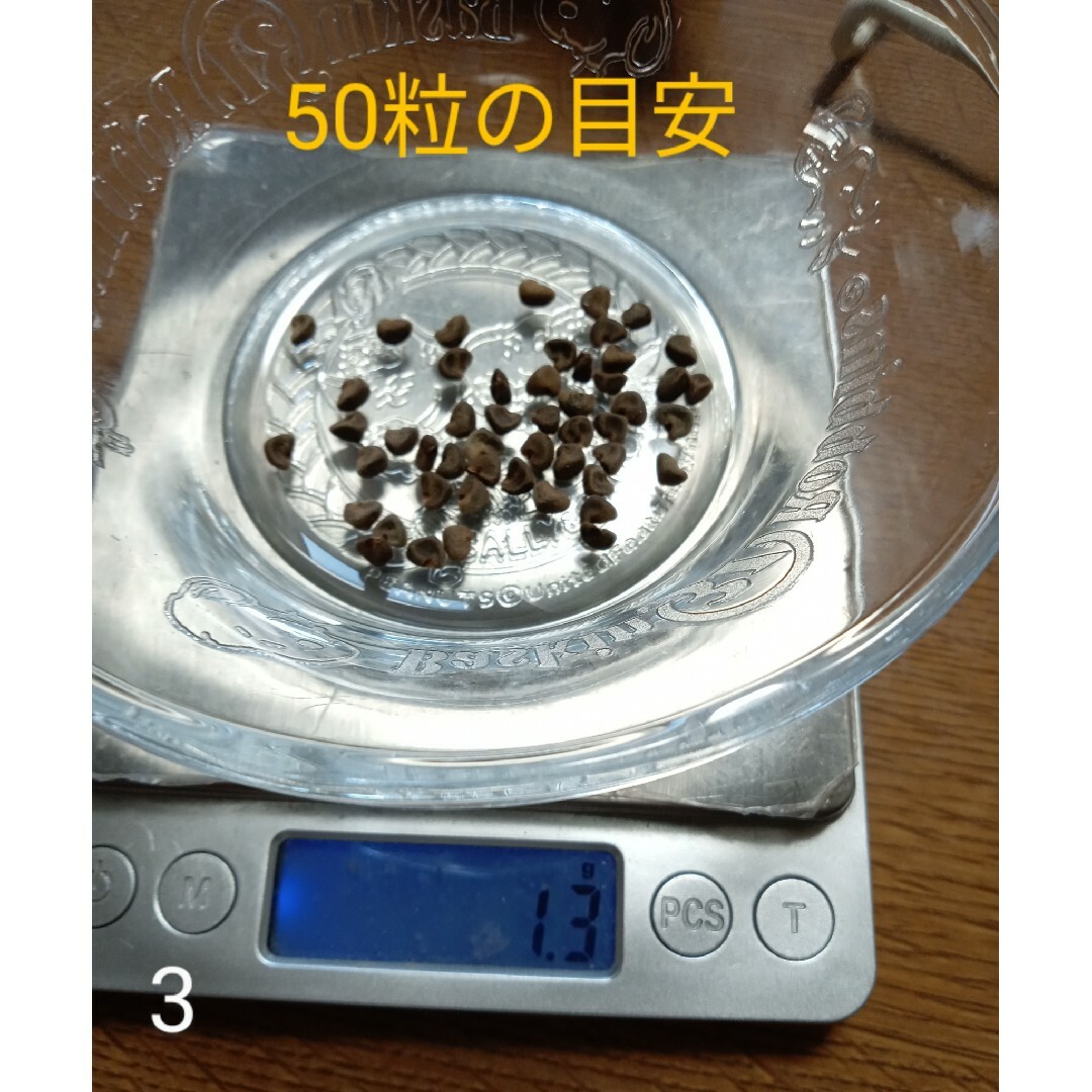 ハイビスカス ローゼル 種 50粒以上 おまけ付き•*¨*•.¸¸♬︎ その他のその他(その他)の商品写真