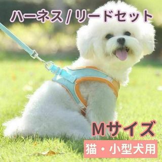 ハーネス リード セット Mサイズ ベスト 犬 猫 オレンジ グリーン 小型犬(犬)