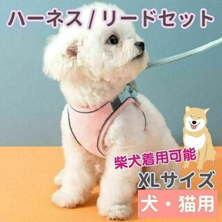 ハーネス リード セットXLサイズ ベスト 犬 散歩 ピンク 中型犬 柴犬(犬)